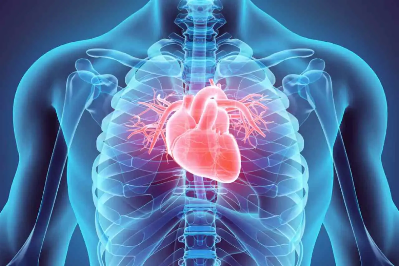 Come proteggere il cuore quando fa caldo: la routine di 3 minuti al giorno Come proteggere il cuore quando fa caldo: la routine di 3 minuti al giorno