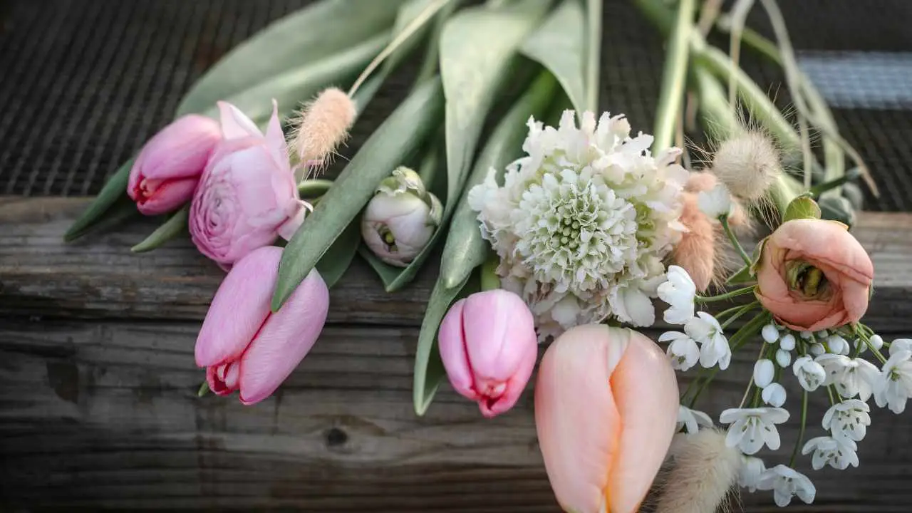 Il trucco che pochi conoscono per mantenere freschi i fiori recisi per una settimana Il trucco che pochi conoscono per mantenere freschi i fiori recisi per una settimana