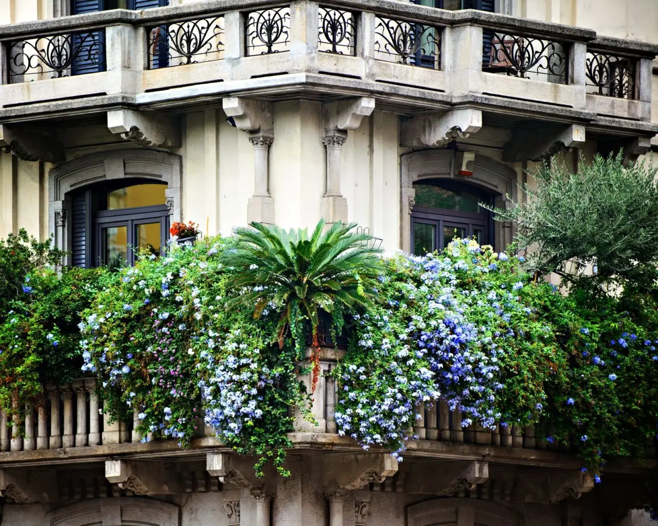 Creare un angolo ombreggiato in terrazza: le tende naturali con rampicanti veloci Creare un angolo ombreggiato in terrazza: le tende naturali con rampicanti veloci