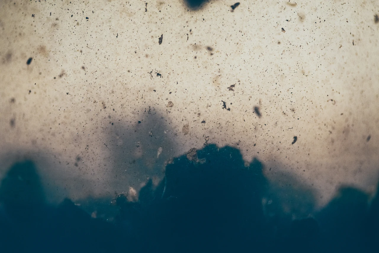 Pelle grassa e brufoli: come la qualità dell’aria li peggiora Pelle grassa e brufoli: come la qualità dell’aria li peggiora