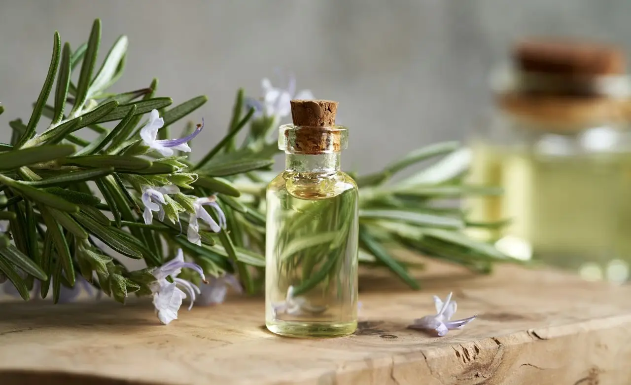 Ti svegli agitato? Ecco l’olio naturale che favorisce il rilassamento Ti svegli agitato? Ecco l’olio naturale che favorisce il rilassamento