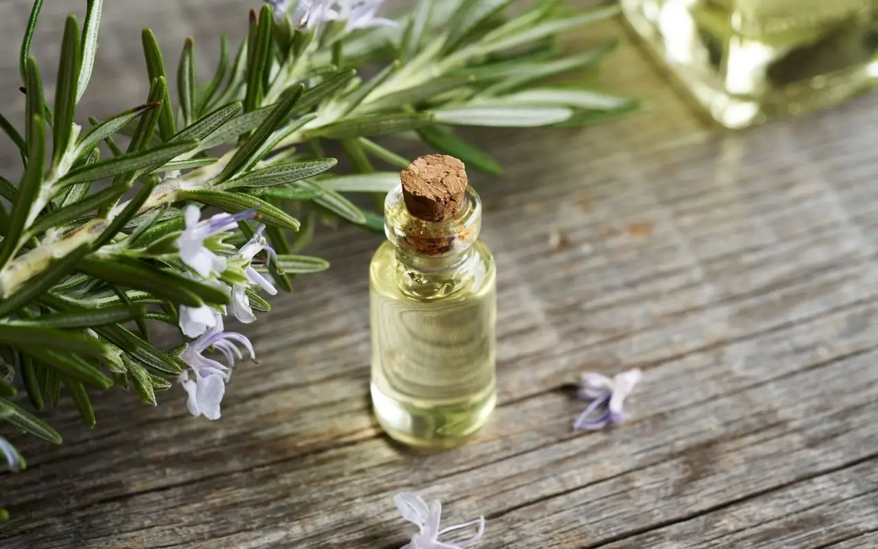 Ti svegli agitato? Ecco l’olio naturale che favorisce il rilassamento Ti svegli agitato? Ecco l’olio naturale che favorisce il rilassamento