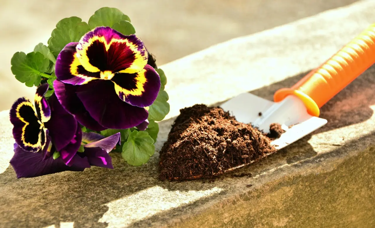 Il mix di compost e tè: fertilizzante fai-da-te per piante da balcone Il mix di compost e tè: fertilizzante fai-da-te per piante da balcone