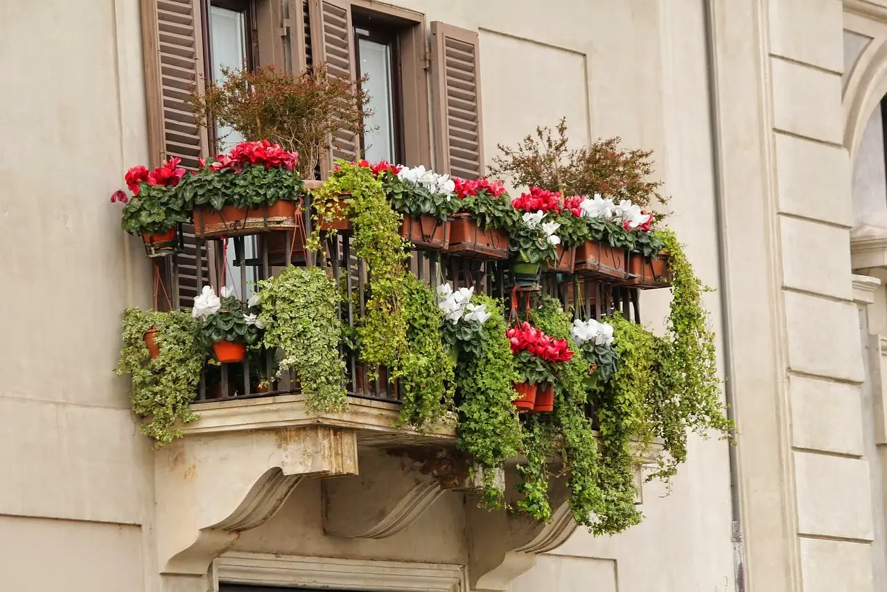 Vuoi piante sempre rigogliose in balcone? Ecco la soluzione semplice che devi sapere Vuoi piante sempre rigogliose in balcone? Ecco la soluzione semplice che devi sapere