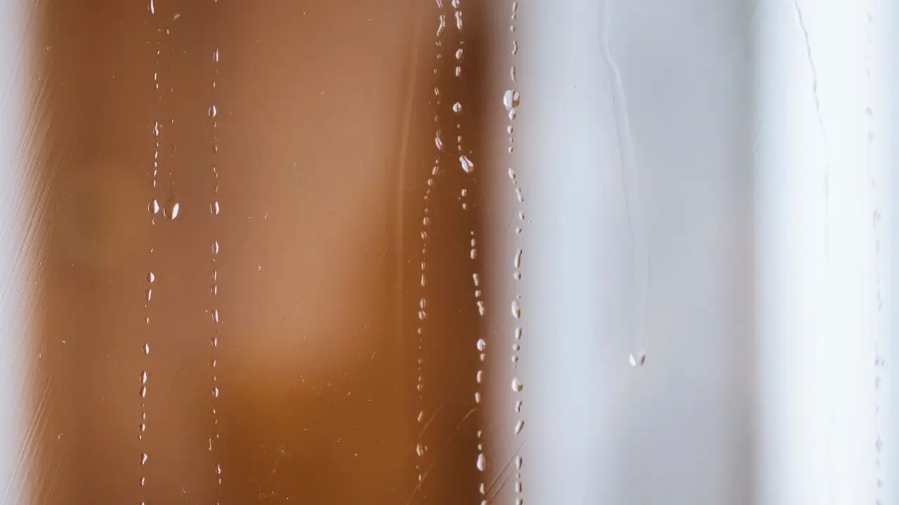 Ombre sui vetri delle finestre? Una soluzione naturale che sorprende per rapidità Ombre sui vetri delle finestre? Una soluzione naturale che sorprende per rapidità