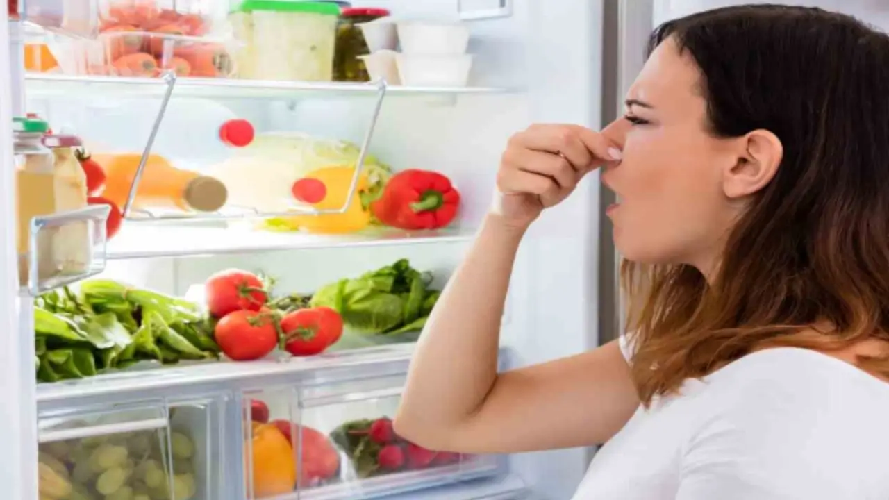 Cattivi odori nel frigorifero: l’ingrediente comune che può cambiare tutto subito Cattivi odori nel frigorifero: l’ingrediente comune che può cambiare tutto subito