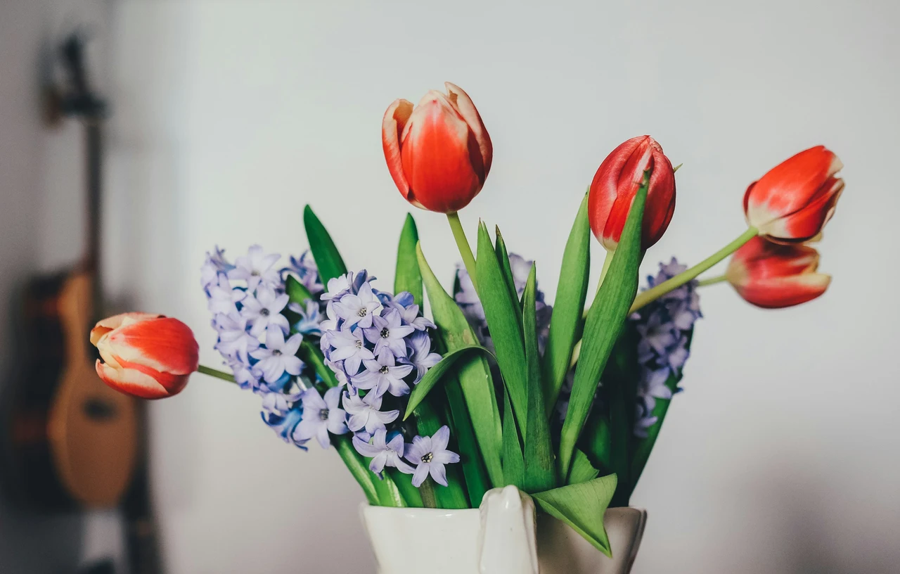 Il trucco che pochi conoscono per mantenere freschi i fiori recisi per una settimana Il trucco che pochi conoscono per mantenere freschi i fiori recisi per una settimana