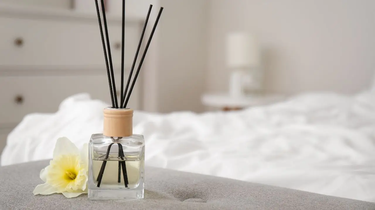 Con pochi spiccioli profumi ogni stanza senza diffusori: prova questo metodo Con pochi spiccioli profumi ogni stanza senza diffusori: prova questo metodo