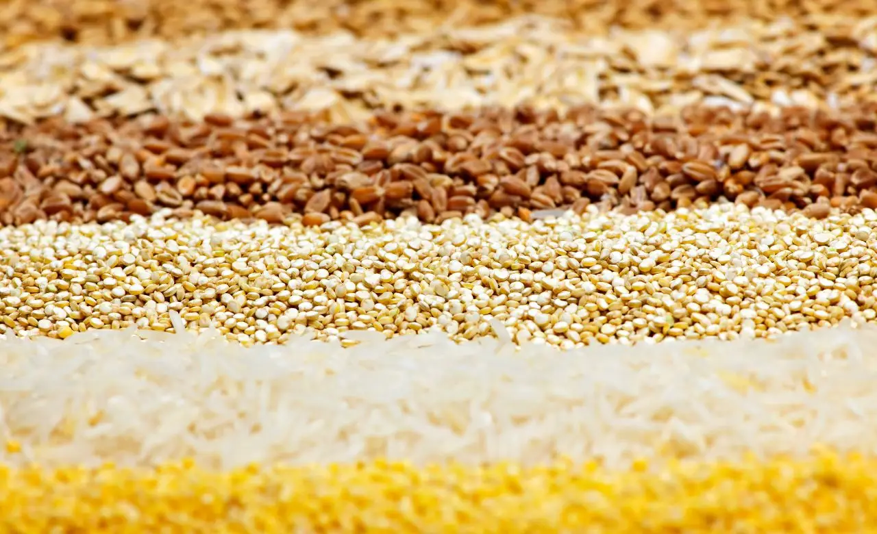 I cereali integrali che riducono dolore e rigidità nelle articolazioni: quali scegliere ora I cereali integrali che riducono dolore e rigidità nelle articolazioni: quali scegliere ora
